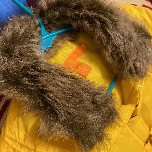 Yellow Jacket - Picture 6 of 6